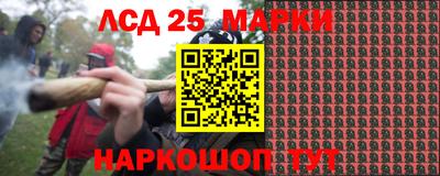 гидропоника Кулебаки