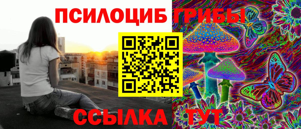 Псилоцибиновые грибы прущие грибы  закладки  Псилоцибиновые грибы GOLDEN TEACHER  Губкин  Вход с VPN 